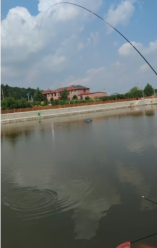 杏花垂钓园