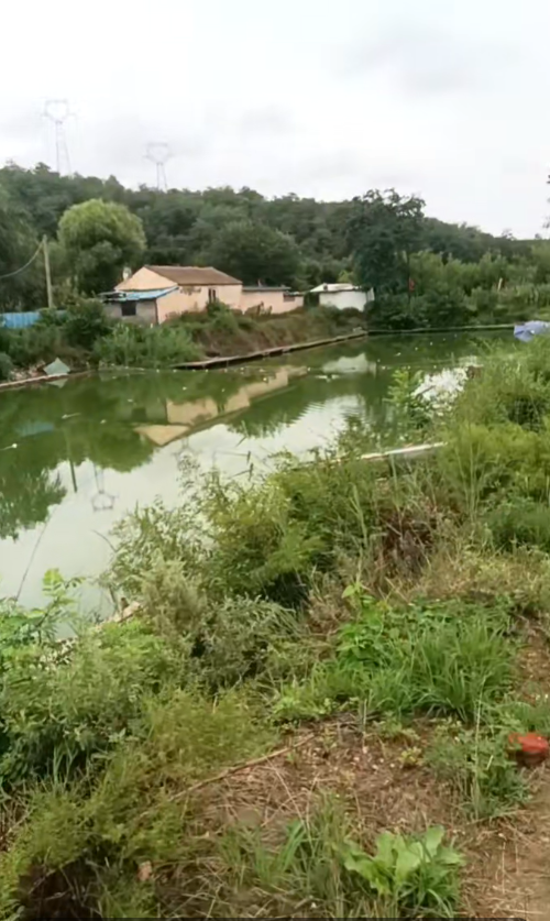 海金湾垂钓园